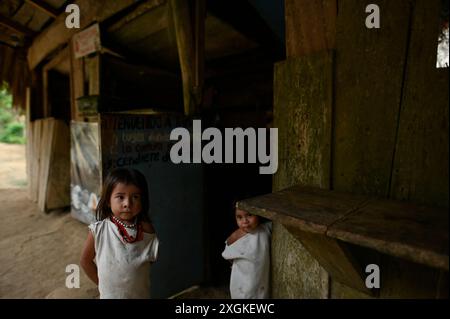 Les enfants indigènes Kogi jouent joyeusement dans la communauté Kogui Taiku, située dans la Sierra Nevada de Santa Marta, en Colombie. Vêtus d'une tenue blanche traditionnelle, qui symbolise la pureté et l'harmonie avec la nature, leur rire remplit l'air, reflétant le profond héritage culturel et les liens étroits de la communauté. Banque D'Images