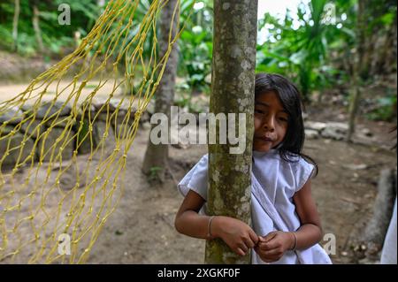 Les enfants indigènes Kogi jouent joyeusement dans la communauté Kogui Taiku, située dans la Sierra Nevada de Santa Marta, en Colombie. Vêtus d'une tenue blanche traditionnelle, qui symbolise la pureté et l'harmonie avec la nature, leur rire remplit l'air, reflétant le profond héritage culturel et les liens étroits de la communauté. Banque D'Images