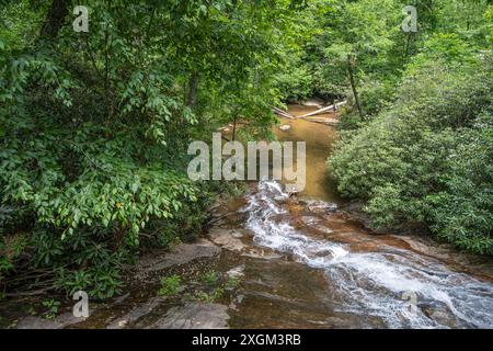 Les chutes inférieures de Helton Creek Falls à Blairsville, en Géorgie. (ÉTATS-UNIS) Banque D'Images