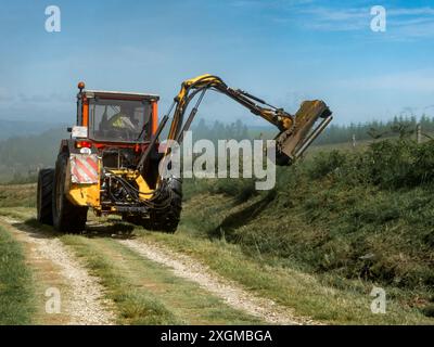 Un tracteur équipé d'un accessoire à lame rotative tond un flanc de coteau, laissant un andain d'herbe coupée dans son sillage. Le tracteur se déplace sur un chemin de terre avec une vue o Banque D'Images