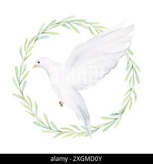 Aquarelle colombe blanche et branches d'olivier. Oiseaux blancs dans une couronne de laurier. Pince à pigeon Illustration dessinée à la main isolée sur fond. Décoratif de Banque D'Images