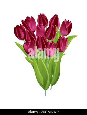 Bouquet de tulipes de fleurs de printemps d'été isolé sur fond blanc. Un cadeau mignon avec des fleurs pour des vacances, un mariage ou un être cher. Élément de conception pour Illustration de Vecteur