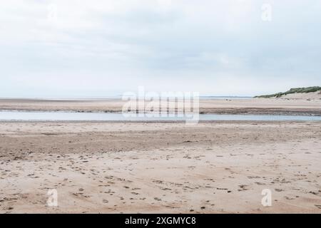 Plage déserte dans Northumberland avec couple et chien Banque D'Images