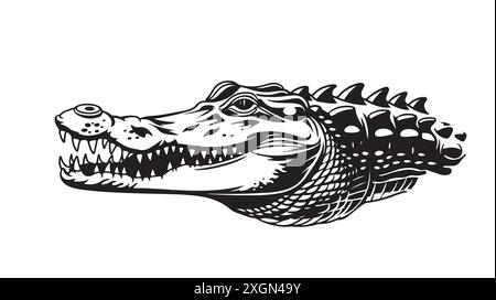 Crocodile assis dans l'eau esquisse dessinée à la main illustration vectorielle. Illustration de Vecteur