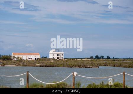 Paysage dans la région du delta de l'Èbre dans la province de Tarragone en Catalogne Espagne Banque D'Images