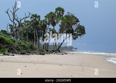 Plage, petit Loango, Parc National de Loango, Parc National de Loango, Province d'Ogooue-maritime, Gabon Banque D'Images