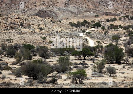 Le désert du Namib sur la route B4, Namibie, Afrique le Namib est le plus ancien désert du monde et est un site du patrimoine mondial de l'UNESCO Banque D'Images