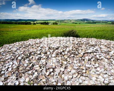 Un énorme monticule de coquilles Saint-Jacques sur des terres agricoles dans l'Aberdeenshire, en Écosse, au Royaume-Uni. Banque D'Images