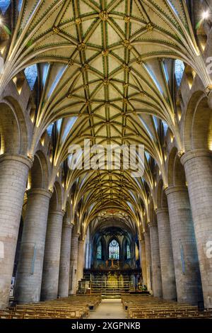 Le plafond voûté de l'abbaye de Tewkesbury, Gloucestershire Banque D'Images