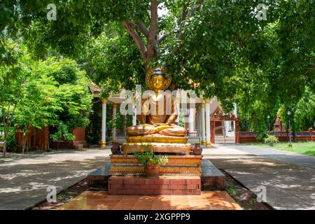 Statue de bouddha doré est placé au milieu du jardin dans le temple et semble paisible et tranquille. Banque D'Images