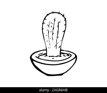 Petit cactus dans un pot. Plante d'intérieur dessinée à la main. Illustration Doodle isolé sur fond blanc. Illustration de Vecteur