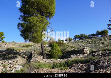 La nature récupère les structures humaines. Pins et arbustes poussant sur les ruines des anciennes mines d'argent Banque D'Images