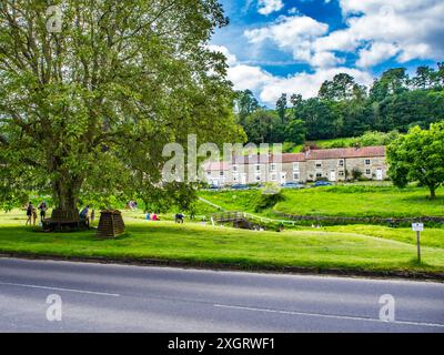 Hutton le Hole, Yorkshire du Nord, Angleterre. regardant à travers le village vert et beck Banque D'Images