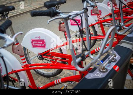 Anvers, Belgique, 7 juillet 2024 : vue sur Antwerp Velo Share City Bikes Banque D'Images