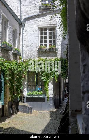 Anvers, Belgique, 7 juillet 2024 : vue sur Vlaeykensgang dans la vieille ville historique d'Anvers, Belgique Banque D'Images