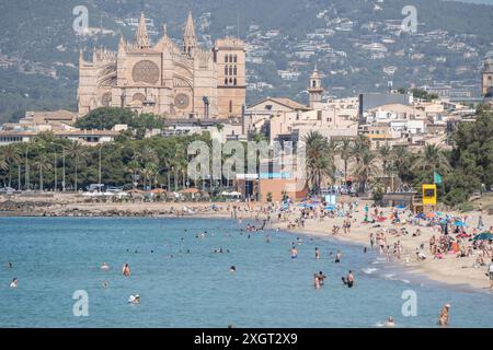 Mittelmeerinsel Mallorca während der Hauptsaison im Juli 2024 - Eindrücke vom Strandabschnitt Platja de Can Pere Antoni in der Inselhauptstadt Palma de Mallorca mit der Kathedrale der Heiligen Maria auch bekannt als Kathedrale von Palma und im Volksmund kurz la Seu genannt im HintergrundMittelmeerinsel Mallorca während der Hauptsaison im Juli 2024, Palma Mallorca Spanien Platja de Can Pere Antoni *** Ile méditerranéenne de Majorque pendant la saison principale en juillet 2024 impressions de la section de plage Platja de Can Pere Antoni dans la capitale de l'île Palma de Majorque avec la cathédrale de la mise Mary Banque D'Images