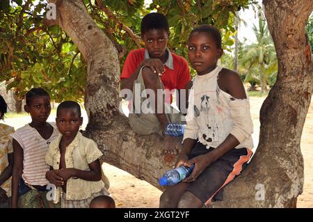 Ligogo enfants avec des garçons d'arbre, Ligogo, Inhambane, Mozambique. Banque D'Images