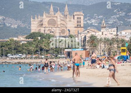 Mittelmeerinsel Mallorca während der Hauptsaison im Juli 2024 - Eindrücke vom Strandabschnitt Platja de Can Pere Antoni in der Inselhauptstadt Palma de Mallorca mit der Kathedrale der Heiligen Maria auch bekannt als Kathedrale von Palma und im Volksmund kurz la Seu genannt im HintergrundMittelmeerinsel Mallorca während der Hauptsaison im Juli 2024, Palma Mallorca Spanien Platja de Can Pere Antoni *** Ile méditerranéenne de Majorque pendant la haute saison en juillet 2024 impressions de la section de plage Platja de Can Pere Antoni dans la capitale de l'île Palma de Majorque avec la cathédrale de mise Mary Banque D'Images