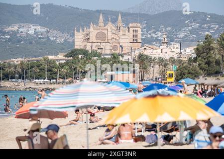Mittelmeerinsel Mallorca während der Hauptsaison im Juli 2024 - Eindrücke vom Strandabschnitt Platja de Can Pere Antoni in der Inselhauptstadt Palma de Mallorca mit der Kathedrale der Heiligen Maria auch bekannt als Kathedrale von Palma und im Volksmund kurz la Seu genannt im HintergrundMittelmeerinsel Mallorca während der Hauptsaison im Juli 2024, Palma Mallorca Spanien Platja de Can Pere Antoni *** Ile méditerranéenne de Majorque pendant la saison principale en juillet 2024 impressions de la section de plage Platja de Can Pere Antoni dans la capitale de l'île Palma de Majorque avec la cathédrale de la mise Mary Banque D'Images