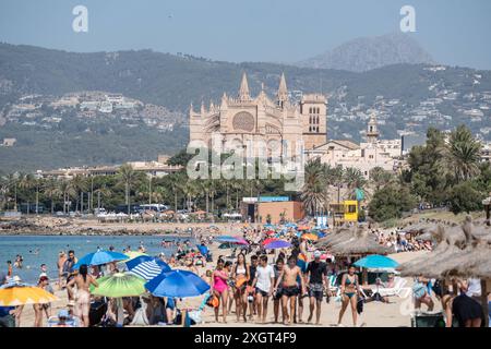 Mittelmeerinsel Mallorca während der Hauptsaison im Juli 2024 - Eindrücke vom Strandabschnitt Platja de Can Pere Antoni in der Inselhauptstadt Palma de Mallorca mit der Kathedrale der Heiligen Maria auch bekannt als Kathedrale von Palma und im Volksmund kurz la Seu genannt im HintergrundMittelmeerinsel Mallorca während der Hauptsaison im Juli 2024, Palma Mallorca Spanien Platja de Can Pere Antoni *** Ile méditerranéenne de Majorque pendant la haute saison en juillet 2024 impressions de la section de plage Platja de Can Pere Antoni dans la capitale de l'île Palma de Majorque avec la cathédrale de mise Mary Banque D'Images