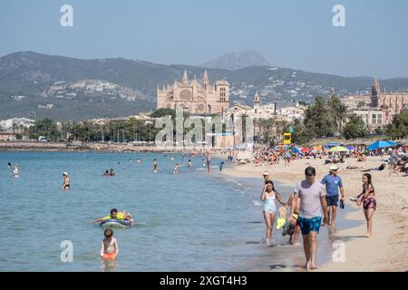 Mittelmeerinsel Mallorca während der Hauptsaison im Juli 2024 - Eindrücke vom Strandabschnitt Platja de Can Pere Antoni in der Inselhauptstadt Palma de Mallorca mit der Kathedrale der Heiligen Maria auch bekannt als Kathedrale von Palma und im Volksmund kurz la Seu genannt im HintergrundMittelmeerinsel Mallorca während der Hauptsaison im Juli 2024, Palma Mallorca Spanien Platja de Can Pere Antoni *** Ile méditerranéenne de Majorque pendant la saison principale en juillet 2024 impressions de la section de plage Platja de Can Pere Antoni dans la capitale de l'île Palma de Majorque avec la cathédrale de la mise Mary Banque D'Images