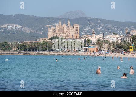 Mittelmeerinsel Mallorca während der Hauptsaison im Juli 2024 - Eindrücke vom Strandabschnitt Platja de Can Pere Antoni in der Inselhauptstadt Palma de Mallorca mit der Kathedrale der Heiligen Maria auch bekannt als Kathedrale von Palma und im Volksmund kurz la Seu genannt im HintergrundMittelmeerinsel Mallorca während der Hauptsaison im Juli 2024, Palma Mallorca Spanien Platja de Can Pere Antoni *** Ile méditerranéenne de Majorque pendant la saison principale en juillet 2024 impressions de la section de plage Platja de Can Pere Antoni dans la capitale de l'île Palma de Majorque avec la cathédrale de la mise Mary Banque D'Images