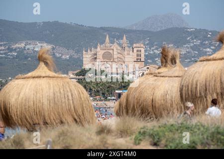 Mittelmeerinsel Mallorca während der Hauptsaison im Juli 2024 - Eindrücke vom Strandabschnitt Platja de Can Pere Antoni in der Inselhauptstadt Palma de Mallorca mit der Kathedrale der Heiligen Maria auch bekannt als Kathedrale von Palma und im Volksmund kurz la Seu genannt im HintergrundMittelmeerinsel Mallorca während der Hauptsaison im Juli 2024, Palma Mallorca Spanien Platja de Can Pere Antoni *** Ile méditerranéenne de Majorque pendant la saison principale en juillet 2024 impressions de la section de plage Platja de Can Pere Antoni dans la capitale de l'île Palma de Majorque avec la cathédrale de la mise Mary Banque D'Images