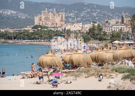 Mittelmeerinsel Mallorca während der Hauptsaison im Juli 2024 - Eindrücke vom Strandabschnitt Platja de Can Pere Antoni in der Inselhauptstadt Palma de Mallorca mit der Kathedrale der Heiligen Maria auch bekannt als Kathedrale von Palma und im Volksmund kurz la Seu genannt im HintergrundMittelmeerinsel Mallorca während der Hauptsaison im Juli 2024, Palma Mallorca Spanien Platja de Can Pere Antoni *** Ile méditerranéenne de Majorque pendant la saison principale en juillet 2024 impressions de la section de plage Platja de Can Pere Antoni dans la capitale de l'île Palma de Majorque avec la cathédrale de la mise Mary Banque D'Images