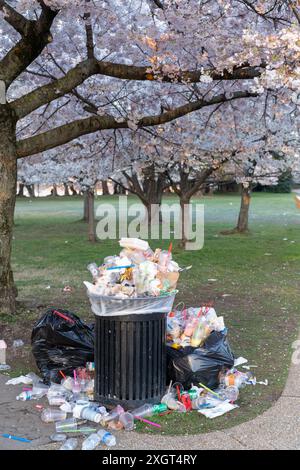 Washington, DC - 25 mars 2024 : les poubelles débordent dans le bassin de marée pendant le festival Cherry Blossom Banque D'Images