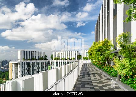 Magnifique jardin sur le toit. Terrasse extérieure pittoresque avec parc et belle vue sur la ville. Bancs modernes sous des arbres verts le long de la passerelle. Banque D'Images