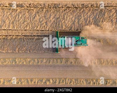 Landwirtschaft - Erntezeit Ein Mähdrescher erntet ein Getreidefeld BEI Frankfurt am main ab. Luftbild mit einer Drohne Frankfurt Hessen Deutschland *** Agriculture temps de récolte Une moissonneuse-batteuse récolte un champ de céréales près de Francfort-sur-le-main vue aérienne avec un drone Frankfurt Hesse Allemagne 2024-07-10 FFM Landwirtschaft Ernte 01 Banque D'Images