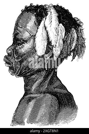 Portrait d'un bushman ou San ou saan, manSaan du désert du Kalahari, Afrique australe, illustration historique 1886 Banque D'Images