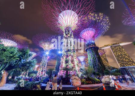 Singapour - 18 février 2017 : fabuleuse vue de fond de nuit sur les Supertrees et le Skyway à Gardens by the Bay. Banque D'Images