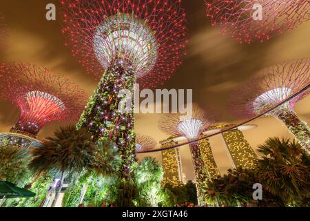 Singapour - 18 février 2017 : fabuleuse vue de fond de nuit sur les Supertrees et le Skyway à Gardens by the Bay. Banque D'Images