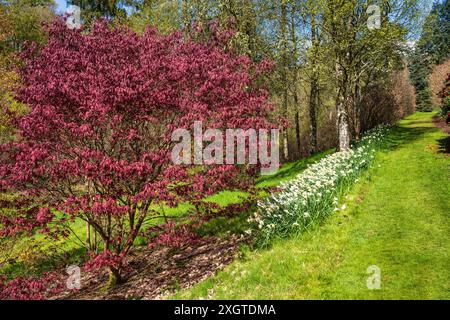 Sentier vers Marr Burn au château et jardins de Drumlanrig près de Thornhill à Dumfries et Galloway, Écosse, Royaume-Uni Banque D'Images