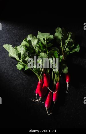 Radis frais avec des feuilles sur fond noir., vue de dessus. Banque D'Images