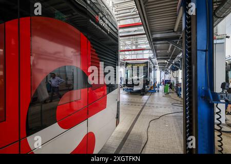 Hambourg, Allemagne. 10 juillet 2024. Le nouveau hall de maintenance de Verkehrsbetriebe Hamburg-Holstein GmbH (VHH). Vers la fin de l’année, VHH exploitera environ 280 e-bus sur une flotte totale d’environ 800 bus. Crédit : Ulrich Perrey/dpa/Alamy Live News Banque D'Images