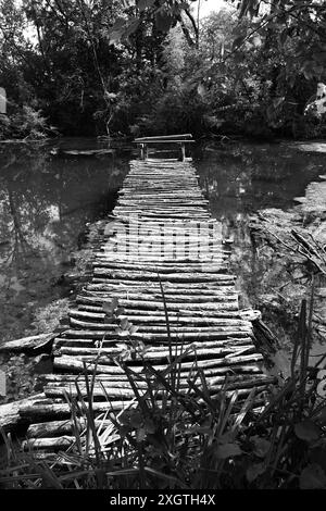 Ponton rustique en bois sur la rivière Klatovske Rameno haut en noir et blanc Banque D'Images