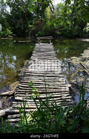 Ponton rustique en bois sur la rivière Klatovske Rameno haute en couleur Banque D'Images