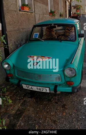 Trabant, garé dans une rue à Tábor, Bohême du Sud, Tchéquie, en 2006. Lancée en Allemagne de l’est en 1957, la Trabant est parfois considérée comme « la pire voiture de tous les temps » et un symbole de l’échec du communisme. Cet exemple vert rouillé avec de fausses housses de siège en peau de tigre a un faux badge BMW et un autocollant «International Truck Driver» sur le capot ou le capot et un permis de stationnement pour personnes handicapées sur le pare-brise. Banque D'Images