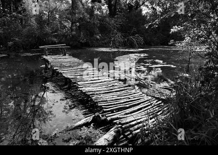 Ponton rustique en bois sur la rivière Klatovske Rameno large en noir et blanc Banque D'Images