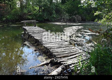 Ponton rustique en bois sur la rivière Klatovske Rameno large en couleur Banque D'Images