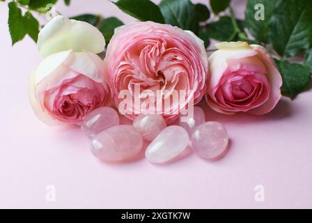 Fleurs de rose arbuste Pierre de Ronsard (Eden Rose 85) avec pierres de quartz rose naturel. Banque D'Images