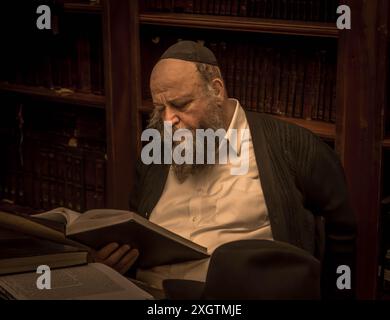 Le haredi (homme juif ultra-orthodoxe) lisant la Torah, le livre le plus sacré du judaïsme, écrit en hébreu, à Jérusalem, en Israël. Banque D'Images