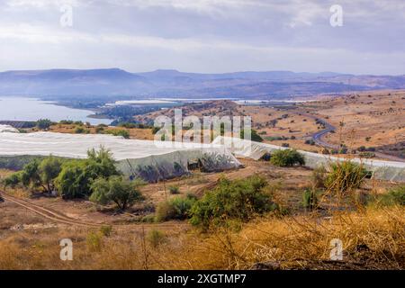 Les serres israéliennes et les plantations agricoles sur le rivage de la mer de Galilée, la terre à la frontière avec la Syrie, en Israël. Banque D'Images