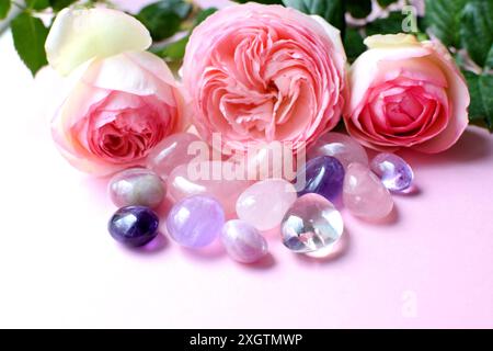 Fleurs de rose de Bush Pierre de Ronsard (Eden Rose 85) avec pierres naturelles de quartz rose, améthyste et cristal de roche. Mise au point sélective. Banque D'Images