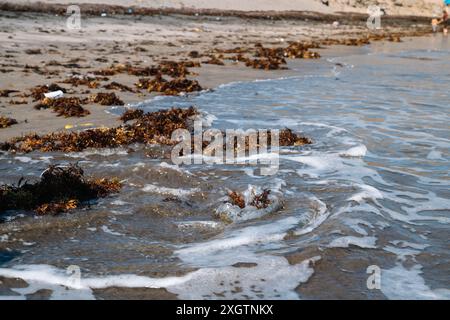 La plage est couverte d'algues et de déchets. L'eau est agitée et les vagues s'écrasent contre le rivage. La scène n'est pas très accueillante et donne Banque D'Images