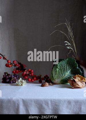 Un arrangement de bon goût avec chou de savoie, raisins rouges et minuscules pommes de crabe rouge, artistiquement exposées sur un tissu blanc drapé avec une subtile lueur Banque D'Images