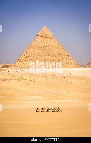 Caravane avec chameaux devant les pyramides de Gizeh Banque D'Images