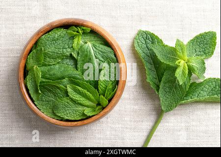 Feuilles de menthe poivrée fraîche dans un bol en bois sur tissu de lin. Espèce hybride de menthe, un croisement entre menthe aquatique et menthe verte. Source végétale de menthol. Banque D'Images